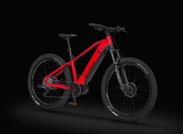 Ecobike RX 500 - immagine 3